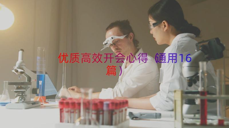 优质高效开会心得（通用16篇）