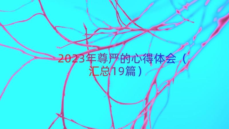 2023年尊严的心得体会（汇总19篇）