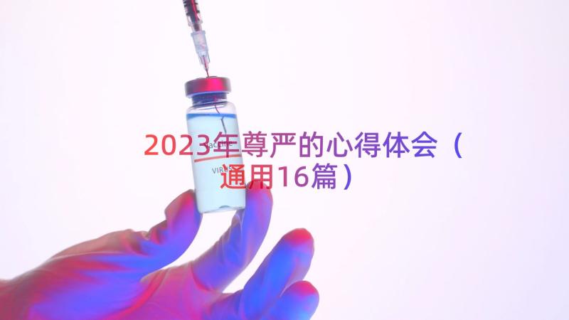 2023年尊严的心得体会（通用16篇）