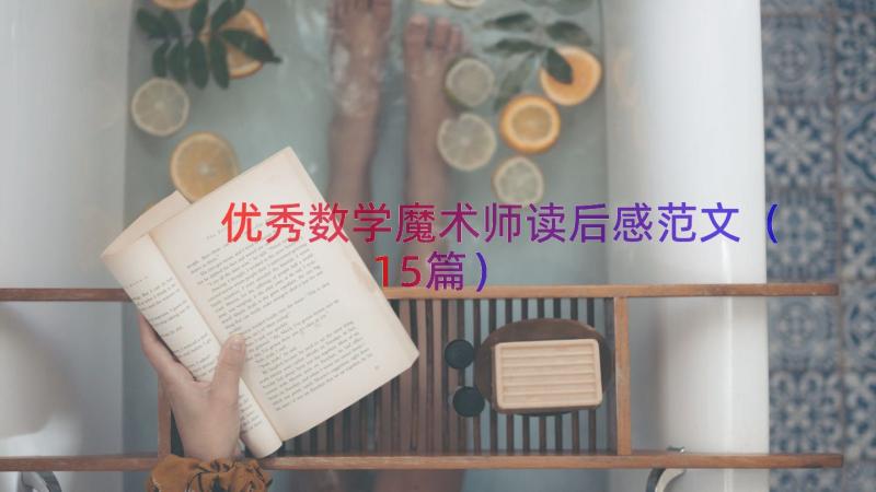 优秀数学魔术师读后感范文（15篇）