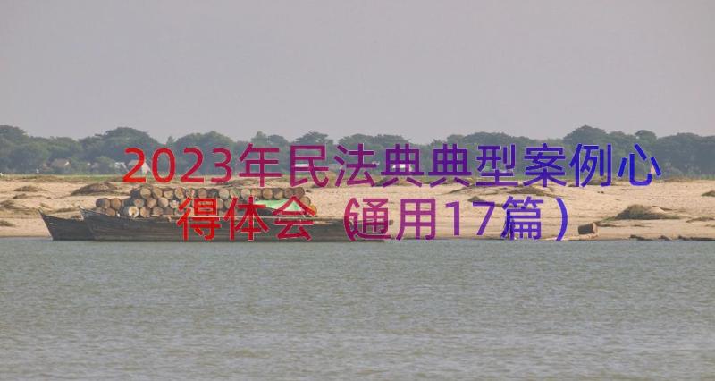 2023年民法典典型案例心得体会（通用17篇）