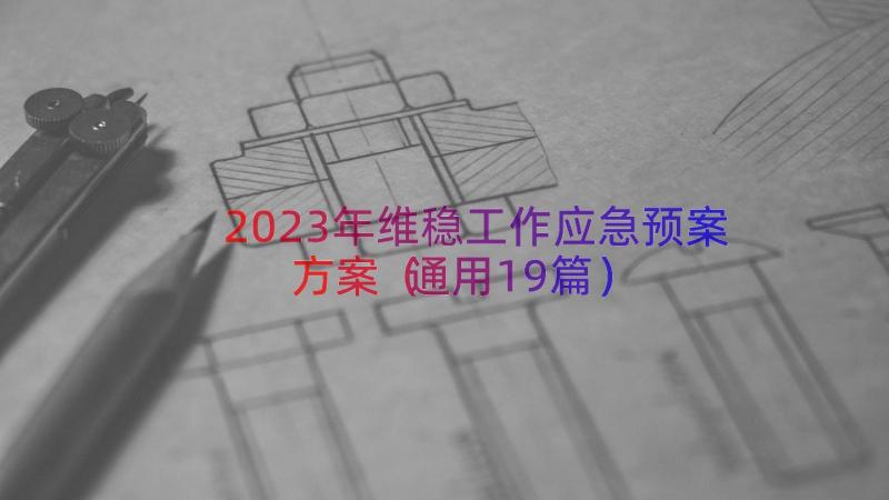 2023年维稳工作应急预案方案（通用19篇）