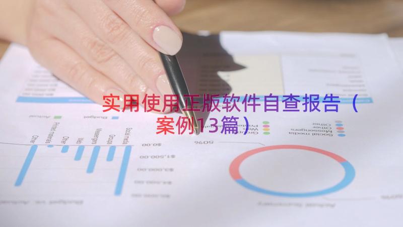 实用使用正版软件自查报告（案例13篇）