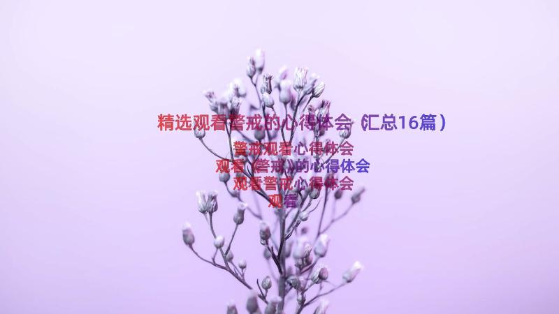 精选观看警戒的心得体会（汇总16篇）