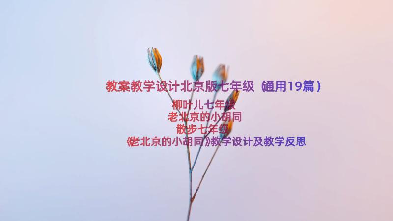 教案教学设计北京版七年级（通用19篇）