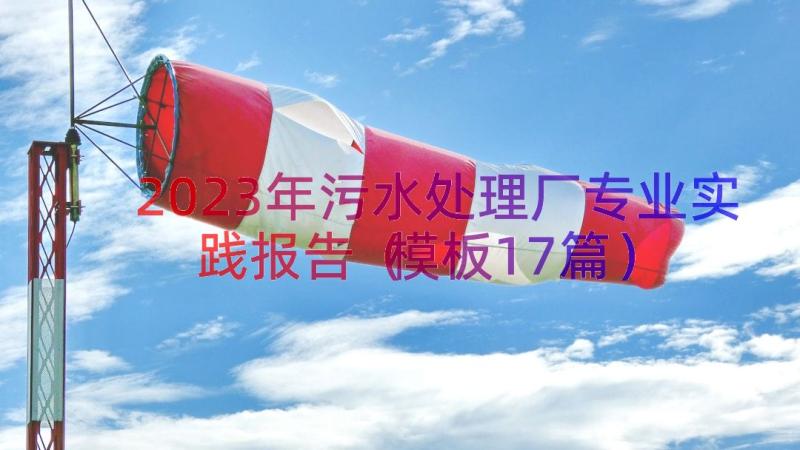 2023年污水处理厂专业实践报告（模板17篇）