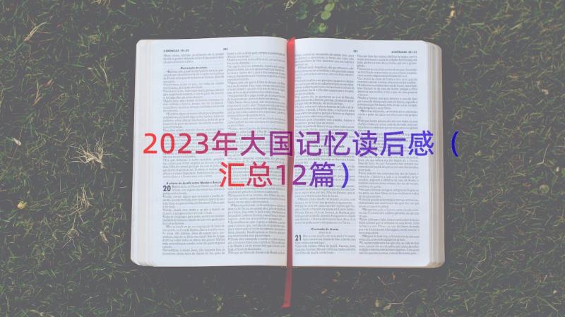 2023年大国记忆读后感（汇总12篇）