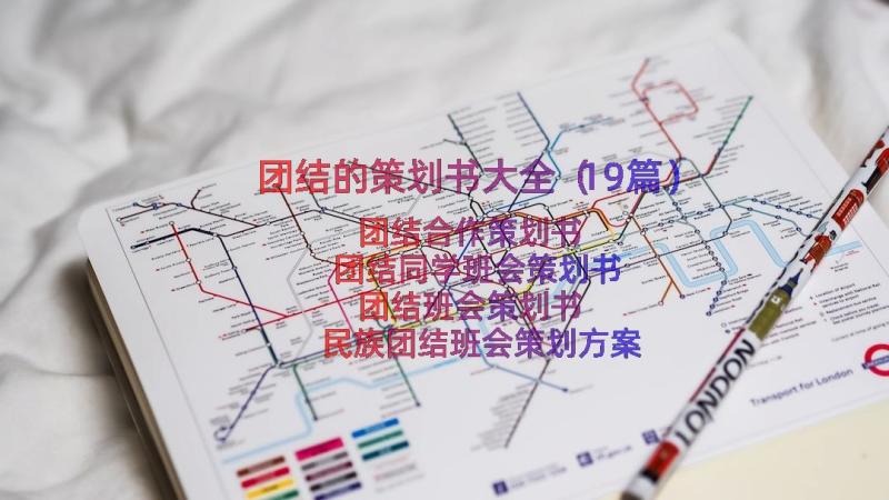 团结的策划书大全（19篇）