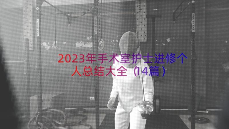 2023年手术室护士进修个人总结大全（14篇）
