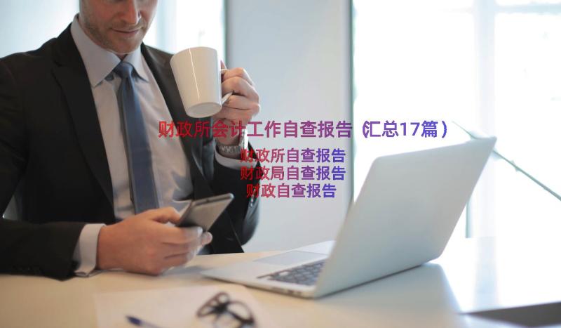 财政所会计工作自查报告（汇总17篇）