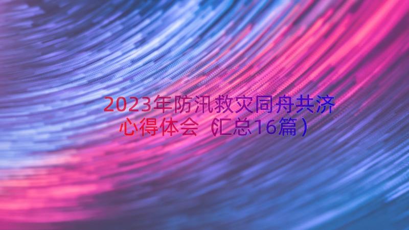 2023年防汛救灾同舟共济心得体会（汇总16篇）