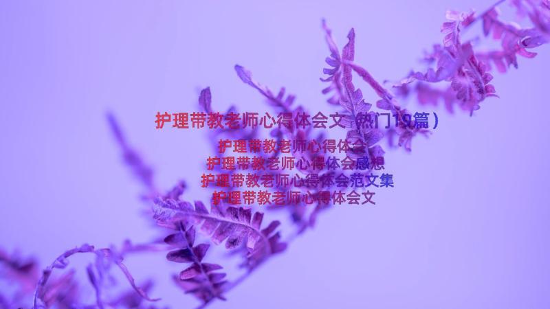 护理带教老师心得体会文（热门19篇）