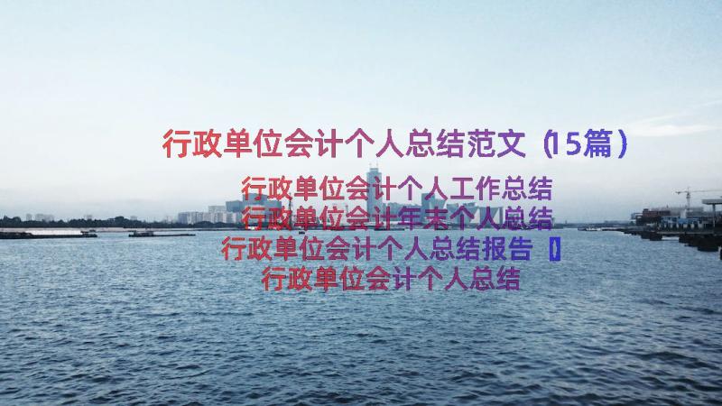 行政单位会计个人总结范文（15篇）