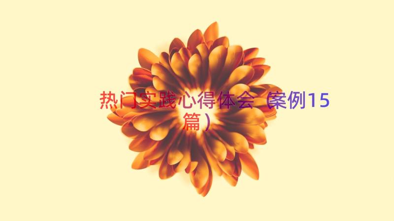 热门实践心得体会（案例15篇）