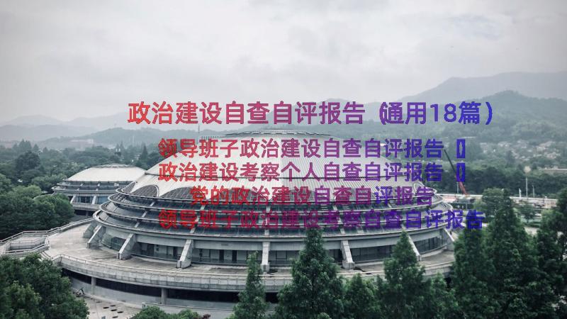 政治建设自查自评报告（通用18篇）