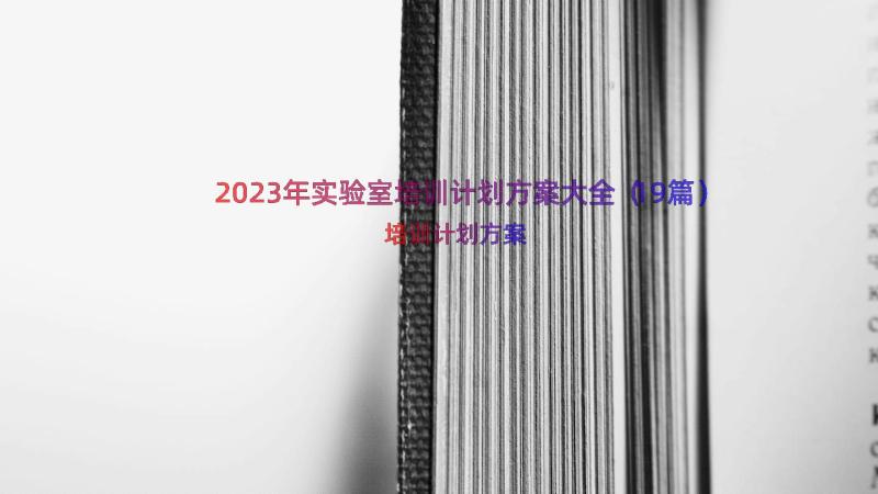 2023年实验室培训计划方案大全（19篇）