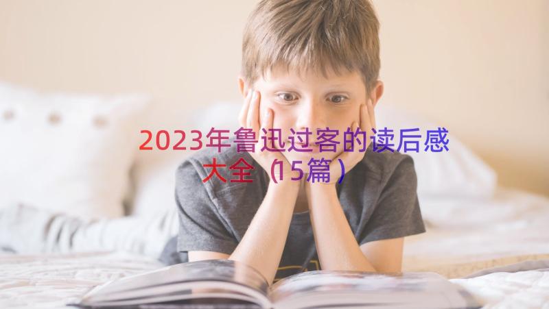 2023年鲁迅过客的读后感大全（15篇）