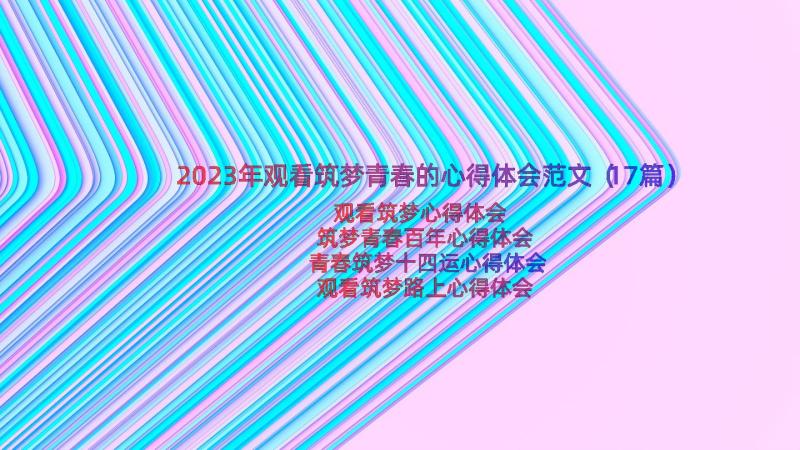 2023年观看筑梦青春的心得体会范文（17篇）