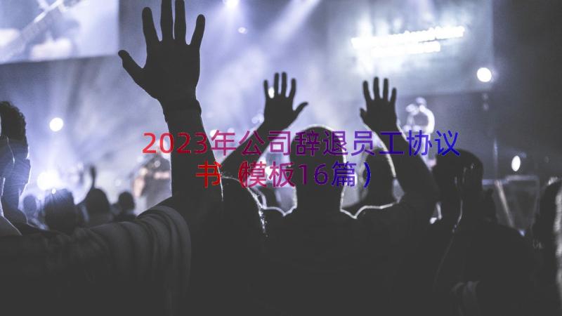 2023年公司辞退员工协议书（模板16篇）