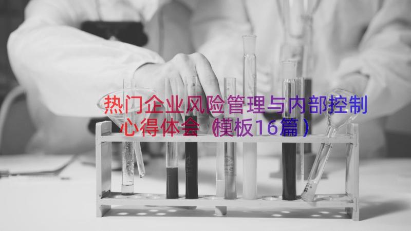 热门企业风险管理与内部控制心得体会（模板16篇）