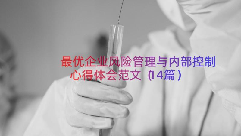 最优企业风险管理与内部控制心得体会范文（14篇）