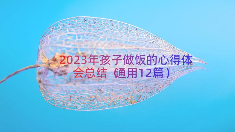 2023年孩子做饭的心得体会总结（通用12篇）