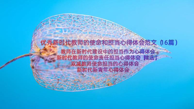 优秀新时代教师的使命和担当心得体会范文（16篇）