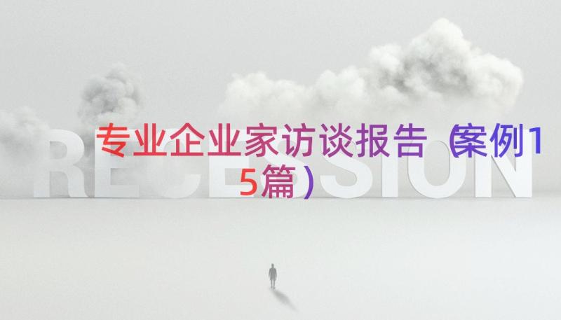 专业企业家访谈报告（案例15篇）