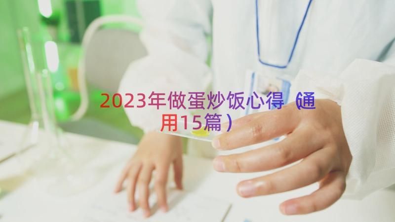 2023年做蛋炒饭心得（通用15篇）