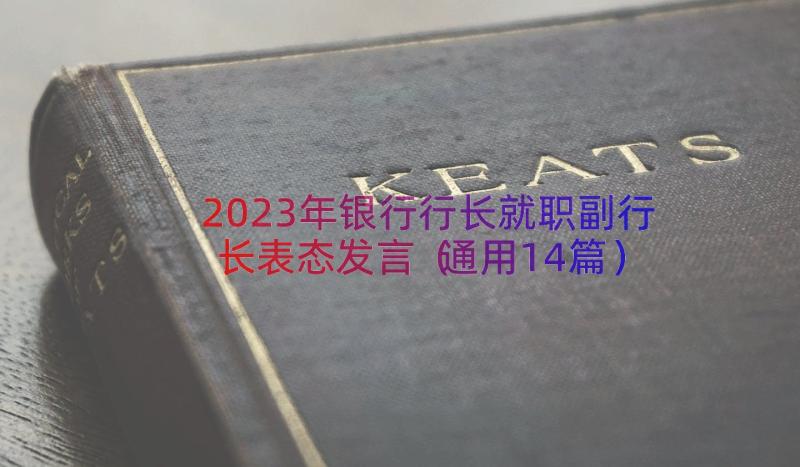 2023年银行行长就职副行长表态发言（通用14篇）