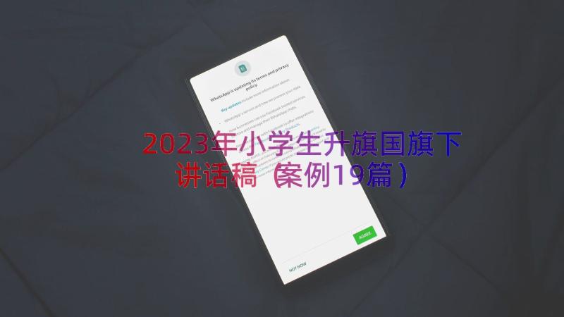 2023年小学生升旗国旗下讲话稿（案例19篇）