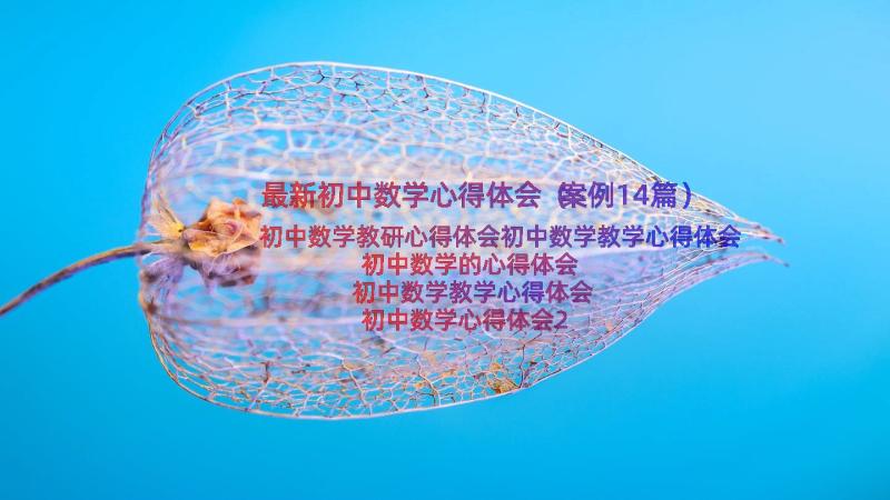 最新初中数学心得体会（案例14篇）