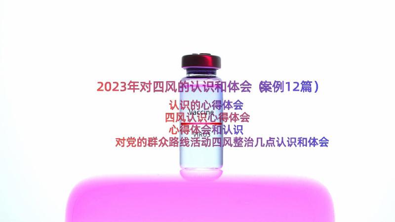 2023年对四风的认识和体会（案例12篇）