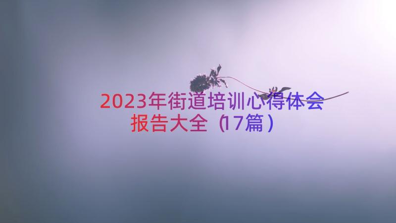 2023年街道培训心得体会报告大全（17篇）