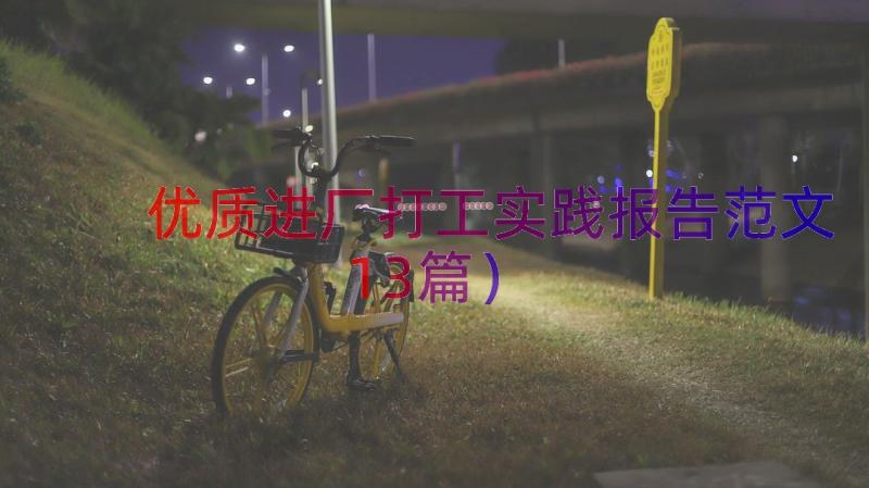 优质进厂打工实践报告范文（13篇）