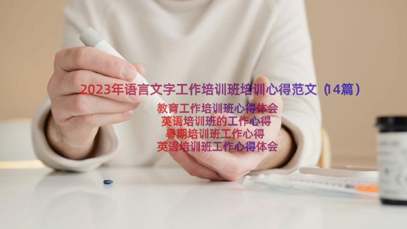 2023年语言文字工作培训班培训心得范文（14篇）