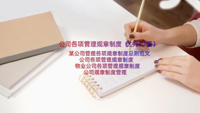 公司各项管理规章制度（优秀17篇）