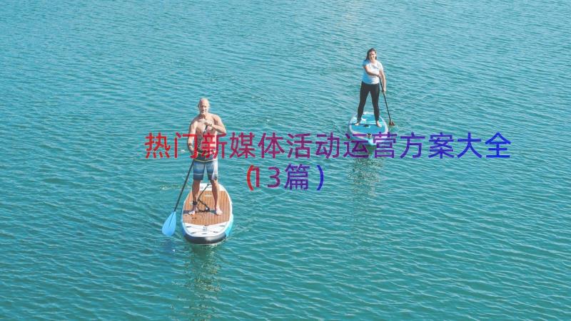 热门新媒体活动运营方案大全（13篇）