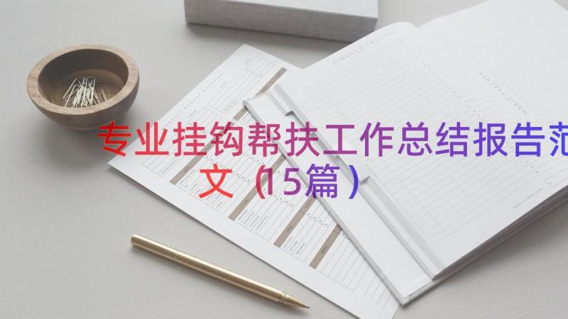 专业挂钩帮扶工作总结报告范文（15篇）