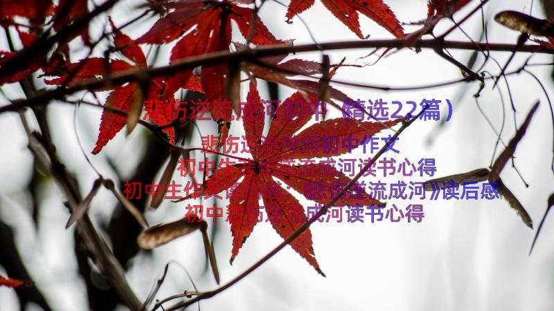 悲伤逆流成河初中（精选22篇）