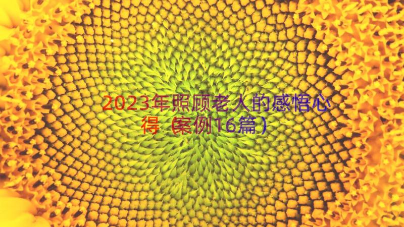 2023年照顾老人的感悟心得（案例16篇）