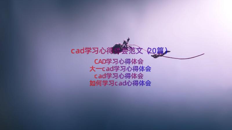 cad学习心得体会范文（20篇）