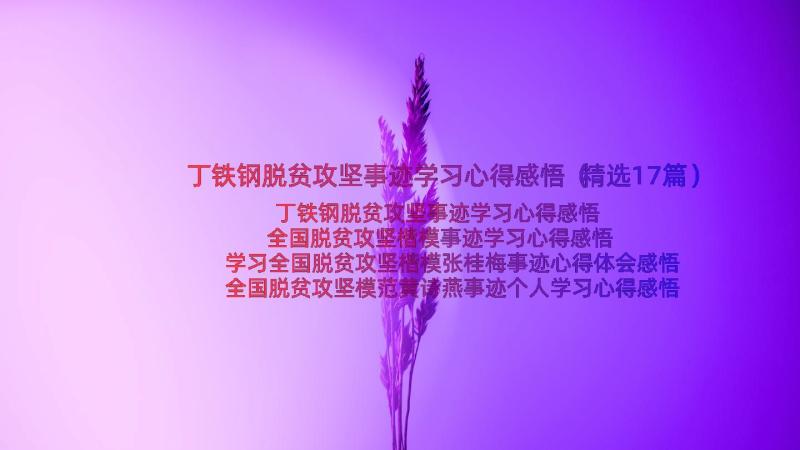 丁铁钢脱贫攻坚事迹学习心得感悟（精选17篇）