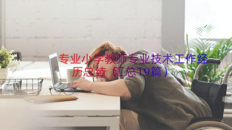 专业小学教师专业技术工作经历总结（汇总19篇）