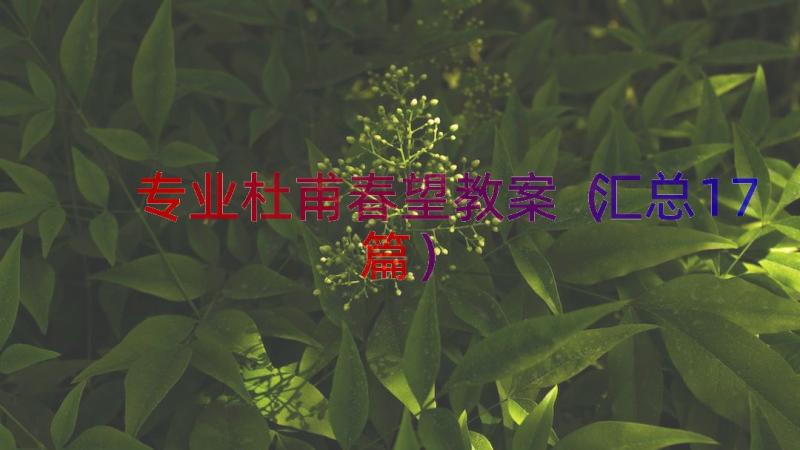 专业杜甫春望教案（汇总17篇）