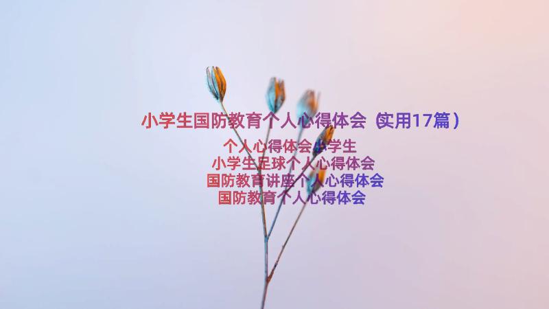 小学生国防教育个人心得体会（实用17篇）