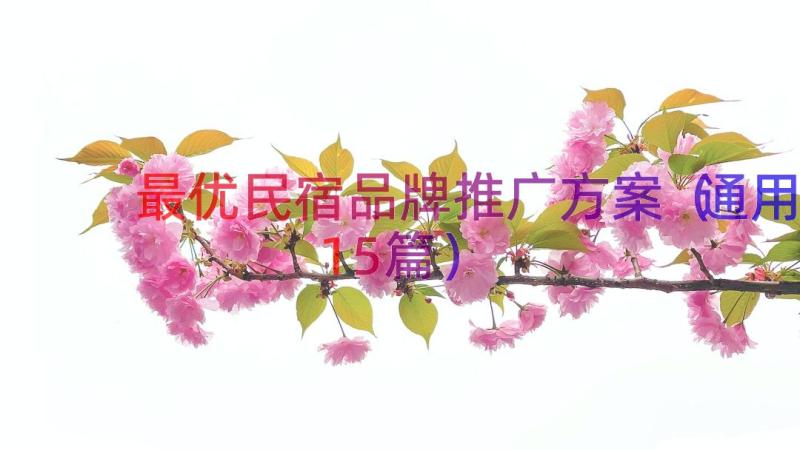 最优民宿品牌推广方案（通用15篇）