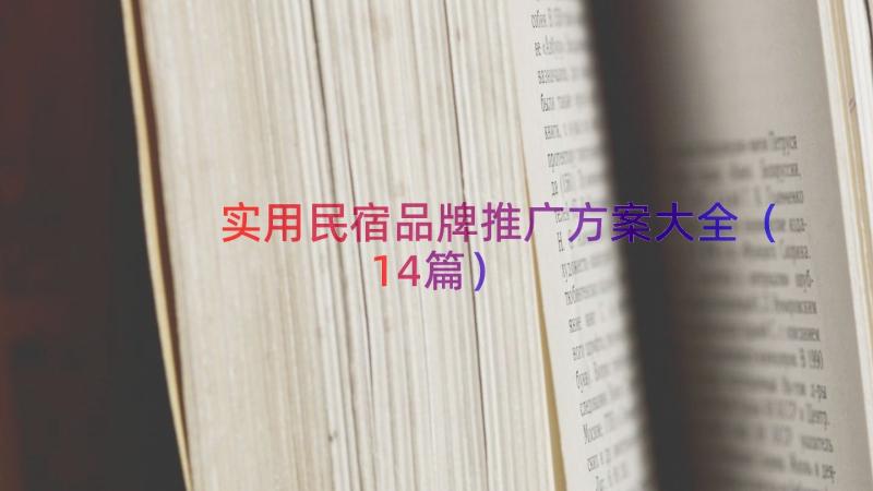 实用民宿品牌推广方案大全（14篇）