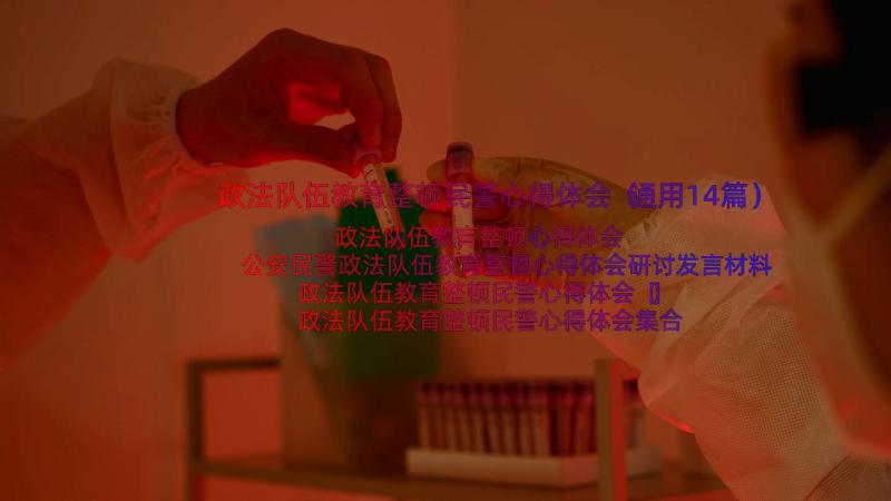 政法队伍教育整顿民警心得体会（通用14篇）