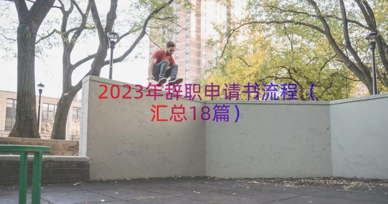 2023年辞职申请书流程（汇总18篇）